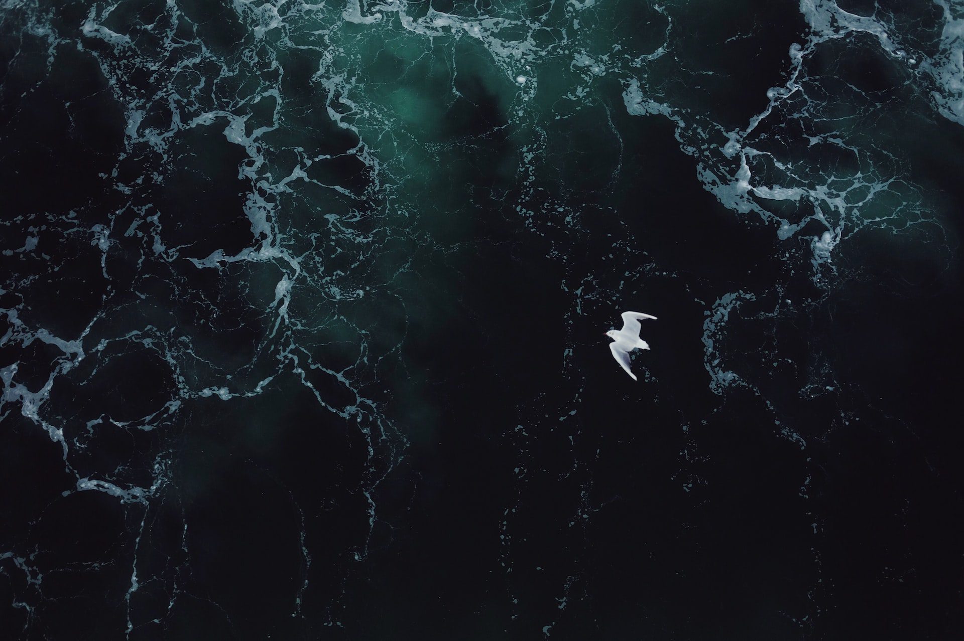 Choppy waters Skyrocket